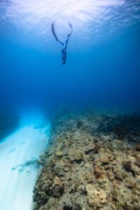 Side view of unrecognizable swimmer in fins diving in blue ocean with rocky bottom in daylight